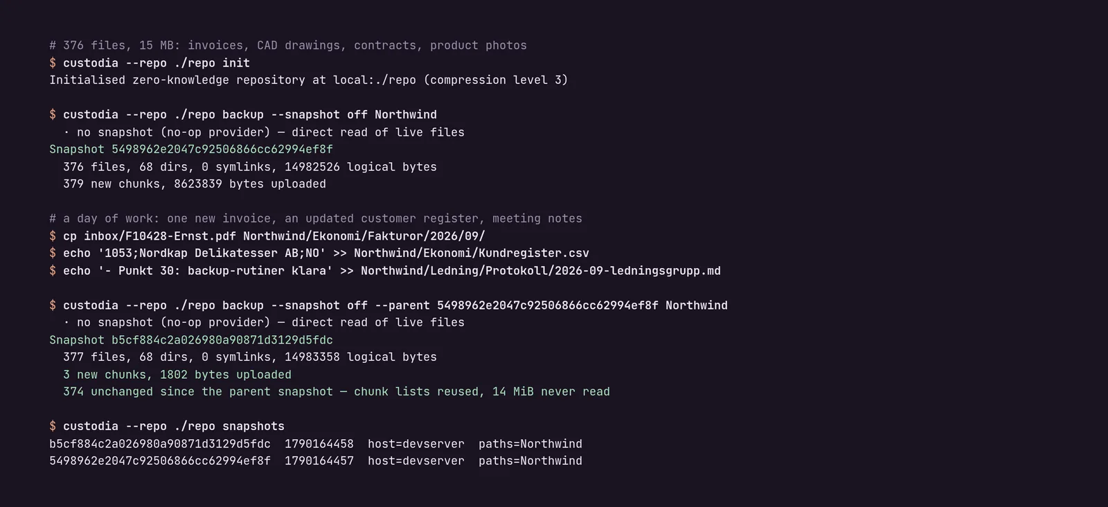 Custodia backing up a folder and listing snapshots